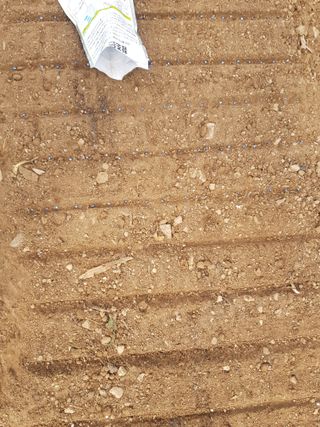 jun님의 가을 농사계획 알려주세요🍁 · 참여글 작성글 사진