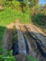 팜모닝 가을 농사계획 알려주세요🍁·참여글 게시글 이미지