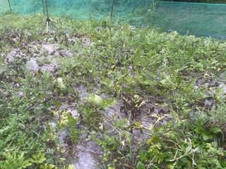 미래의 의사는 농부님의 자유주제 · 자유게시판 작성글 사진