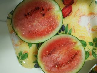 미래의 의사는 농부님의 자유주제 · 자유게시판 작성글 사진