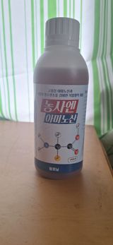 팜모닝 자유주제·자유게시판 게시글 이미지