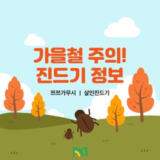 팜모닝님의 자유주제 · 공지 작성글 사진