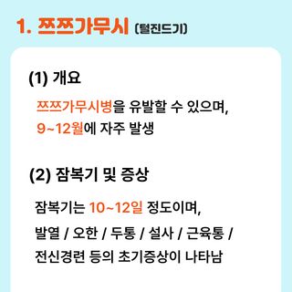 팜모닝님의 자유주제 · 공지 작성글 사진