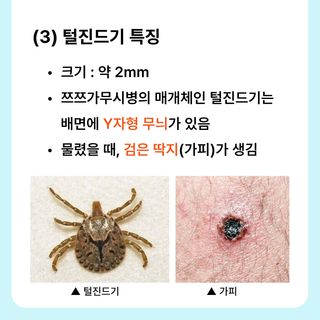 팜모닝님의 자유주제 · 공지 작성글 사진