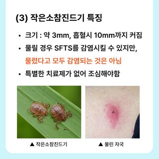 팜모닝님의 자유주제 · 공지 작성글 사진