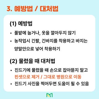 팜모닝님의 자유주제 · 공지 작성글 사진