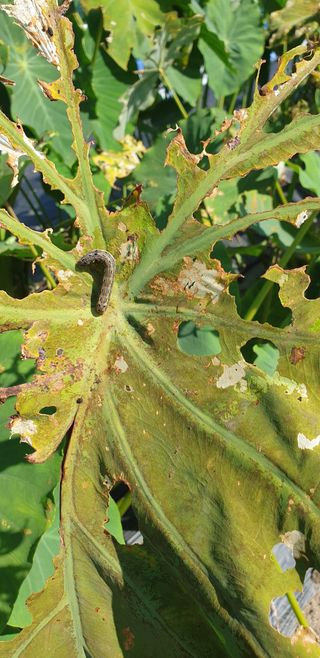 서종석님의 가을 농사계획 알려주세요🍁 · 참여글 작성글 사진