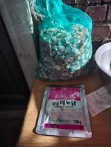 팜모닝 가을 농사계획 알려주세요🍁·참여글 게시글 이미지