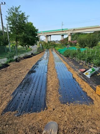 김영길님의 가을 농사계획 알려주세요🍁 · 참여글 작성글 사진