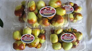 오학봉(멀티팜)님의 가을 농사계획 알려주세요🍁 · 참여글 작성글 사진