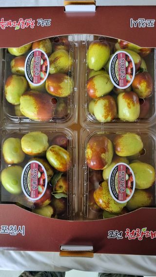 오학봉(멀티팜)님의 가을 농사계획 알려주세요🍁 · 참여글 작성글 사진