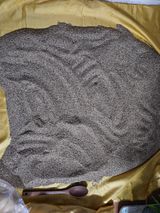 팜모닝 참깨·자유게시판 게시글 이미지