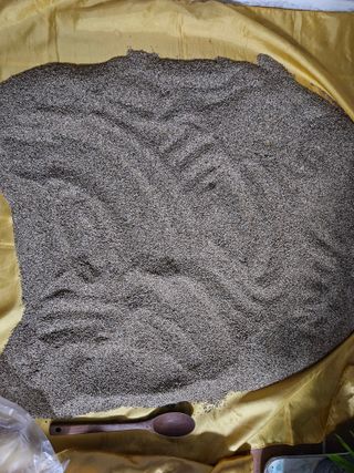 호정님의 참깨 · 자유게시판 작성글 사진