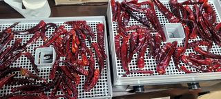 행복농장님의 자유주제 · 자유게시판 작성글 사진