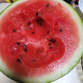 숲등농장 달밭사과님의 자유주제 · 자유게시판 작성글 사진