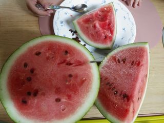 숲등농장 달밭사과님의 자유주제 · 자유게시판 작성글 사진