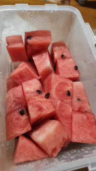 숲등농장 달밭사과님의 자유주제 · 자유게시판 작성글 사진