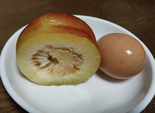 철남 김희곤님의 팜모닝 병해충 연구회 · 병해충상담 작성글 사진