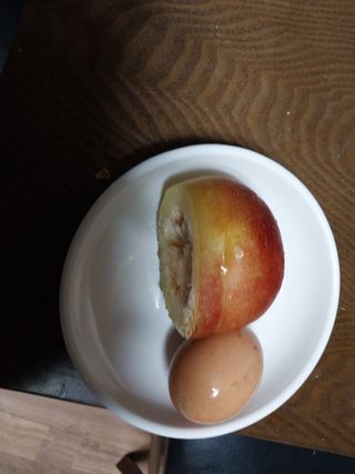 철남 김희곤님의 팜모닝 병해충 연구회 · 병해충상담 작성글 사진