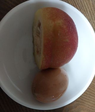 철남 김희곤님의 팜모닝 병해충 연구회 · 병해충상담 작성글 사진