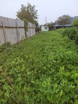 팜모닝 기타작물·자유게시판 게시글 이미지