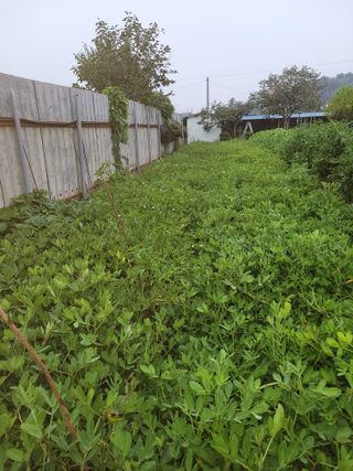 이원우님의 기타작물 · 자유게시판 작성글 사진