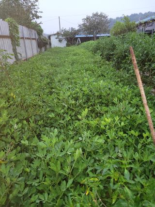 이원우님의 기타작물 · 자유게시판 작성글 사진