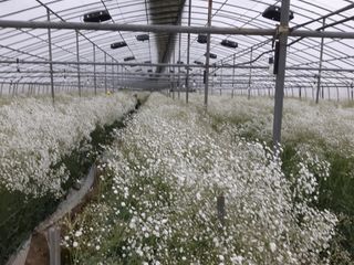 정다원 님의 포도 · 자유게시판 작성글 사진