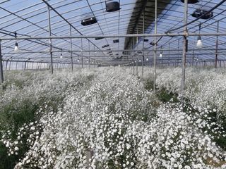 정다원 님의 포도 · 자유게시판 작성글 사진