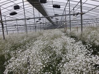 정다원 님의 포도 · 자유게시판 작성글 사진