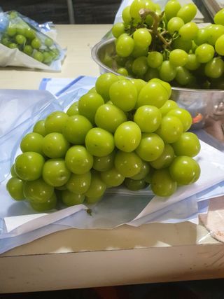 정다원 님의 포도 · 자유게시판 작성글 사진