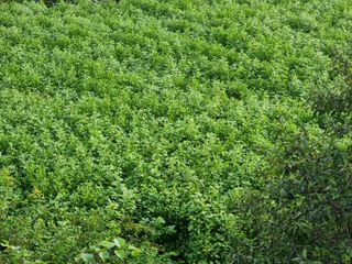 권병성님의 가을 농사계획 알려주세요🍁 · 참여글 작성글 사진