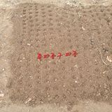 팜모닝 기타작물·영농일지 게시글 이미지