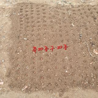 이소영님의 기타작물 · 영농일지 작성글 사진