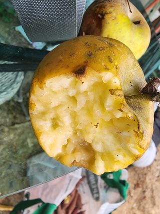 조용오님의 기타작물 · 자유게시판 작성글 사진