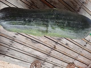 해남댁님의 자유주제 · 자유게시판 작성글 사진