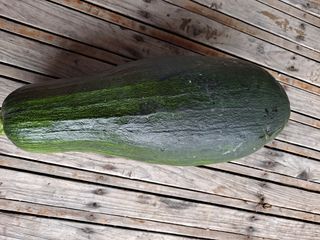 해남댁님의 자유주제 · 자유게시판 작성글 사진