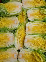 팜모닝 자유주제·자유게시판 게시글 이미지