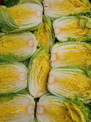 안비님의 자유주제 · 자유게시판 작성글 사진