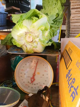 안비님의 자유주제 · 자유게시판 작성글 사진