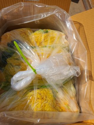 안비님의 자유주제 · 자유게시판 작성글 사진