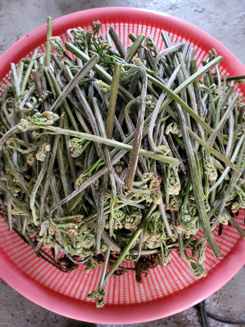 장터 상품 [건고사리 600g] 썸네일