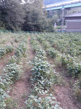 조동원님의 자유주제 · 자유게시판 작성글 사진