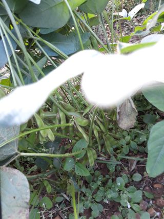 조동원님의 자유주제 · 자유게시판 작성글 사진