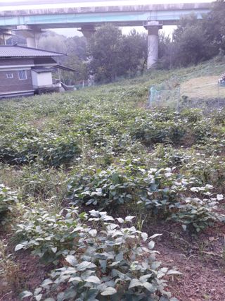 조동원님의 자유주제 · 자유게시판 작성글 사진