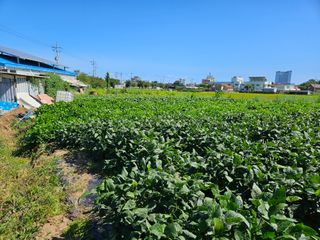 김영식님의 가을 농사계획 알려주세요🍁 · 참여글 작성글 사진