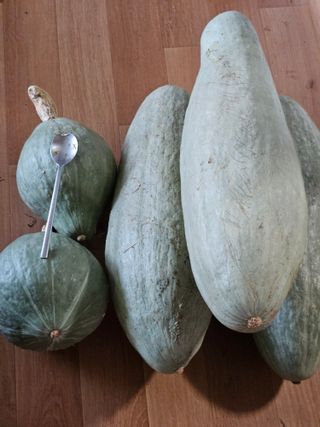 김영식님의 가을 농사계획 알려주세요🍁 · 참여글 작성글 사진