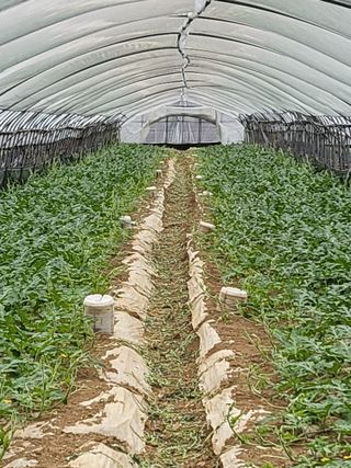 산호농님의 우리동네 · 동네자랑 작성글 사진