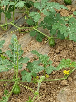 산호농님의 우리동네 · 동네자랑 작성글 사진