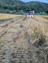 팜모닝 가을 농사계획 알려주세요🍁·참여글 게시글 이미지